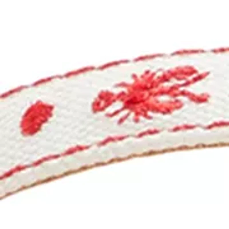 Isla Thong Embroidered Sandals