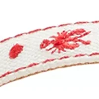 Isla Thong Embroidered Sandals