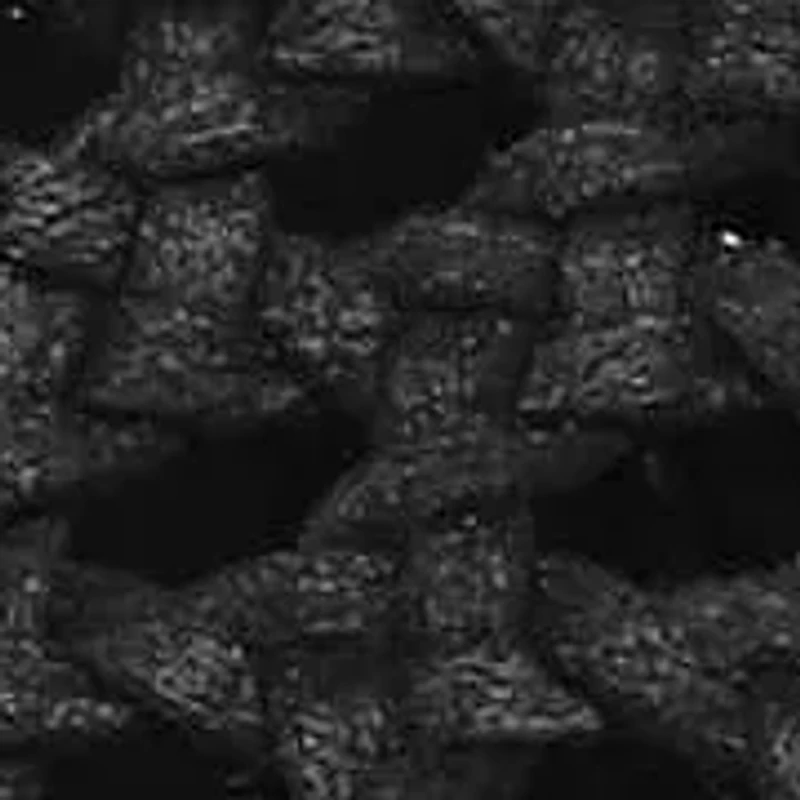 Anuella Chopout Wedge Sandal