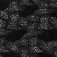 Anuella Chopout Wedge Sandal