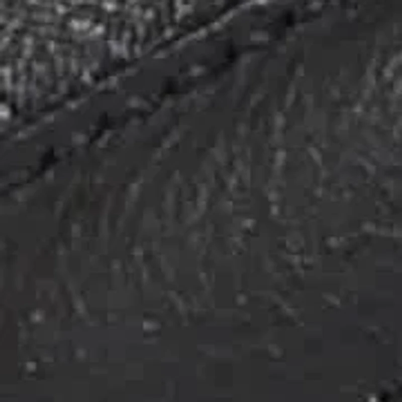 Women's Santa Rosa 2.0 Closed Toe Sport Sandal