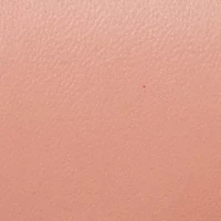 Tessa Total Motion Pointy Toe Dress Flats