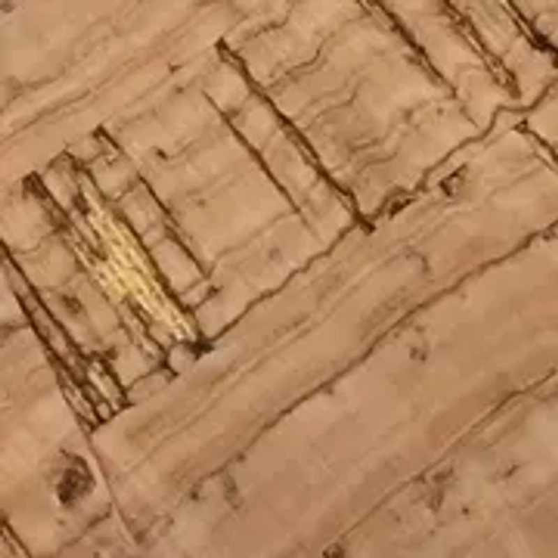 Amara Block Heeled Sandals