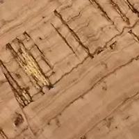 Amara Block Heeled Sandals