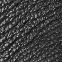 Cheryl Tailored Mule