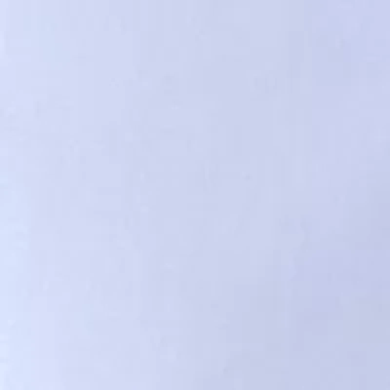 Big & Tall Ultra Wrinkle Free Dress Shirt