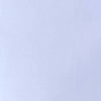 Big & Tall Ultra Wrinkle Free Dress Shirt