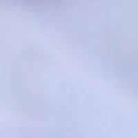 Big & Tall Ultra Wrinkle Free Dress Shirt