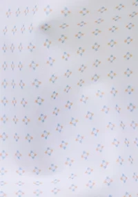Men's Big Print Button Down Shirt