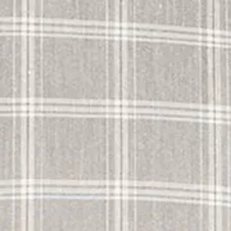 Men's Big Regular Fit Plaid Shirt
