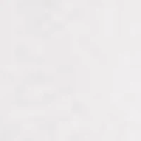 Hanes Men's 5-Pack Tall V-Neck Shirts