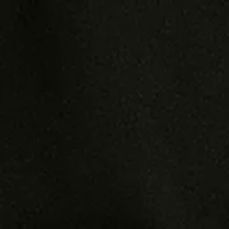 I Left My Garage to Be Here Retro Tee for Funny Car Dads