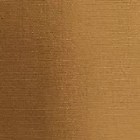 Men's Carpenter Shorts