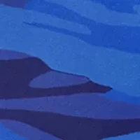 Active Microfiber 5" Boxer Brief - 3 Pack