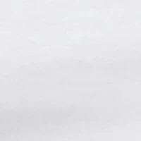 Big & Tall 2Pk Crew Neck T-shirt