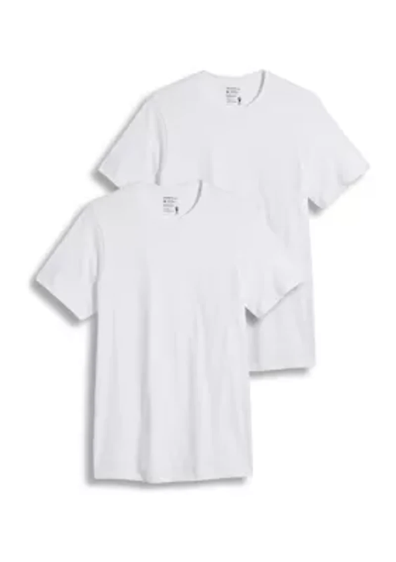 Big & Tall 2Pk Crew Neck T-shirt