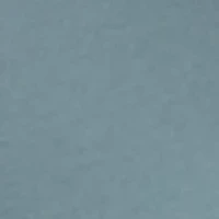 Big & Tall Men's Sportstyle LC SS