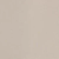 Big & Tall Men's Tech 2.0 Half-Zip