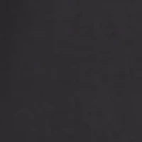 Big & Tall Men's Team Issue Workmark SS