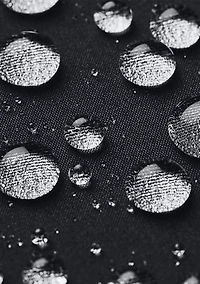 Big & Tall Men's Shield Hooded Jacket