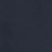 Men's Armour Fleece Big Logo HD