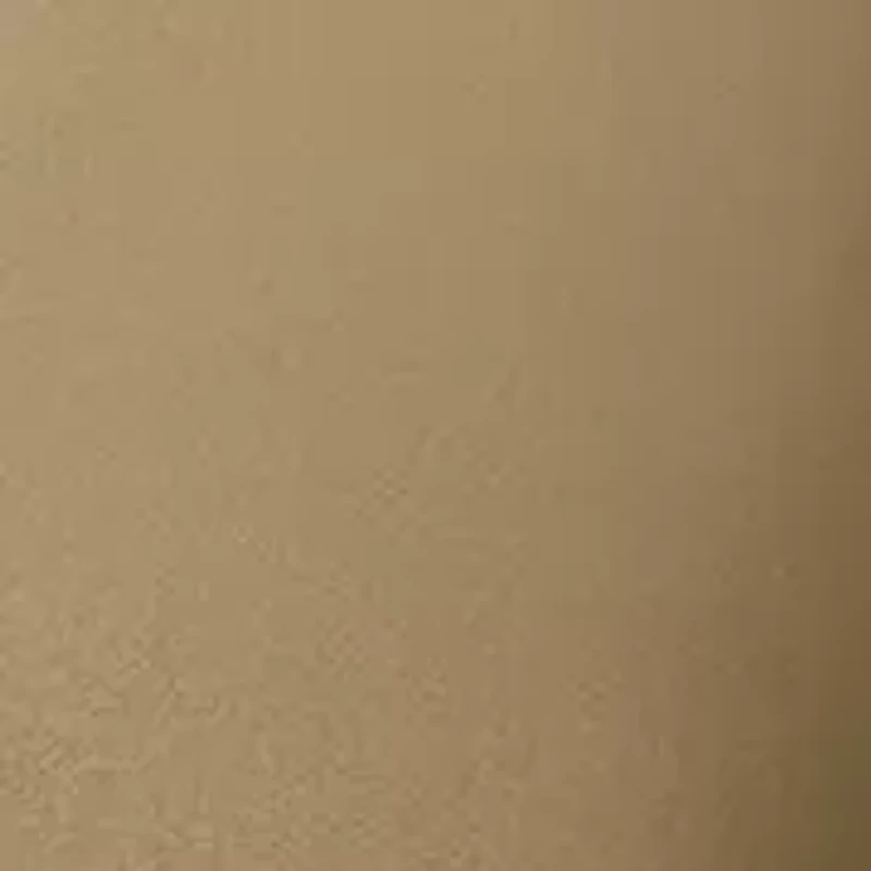 Men's Stretch Zion Pants