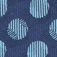 Hertford Polka Dot Tie