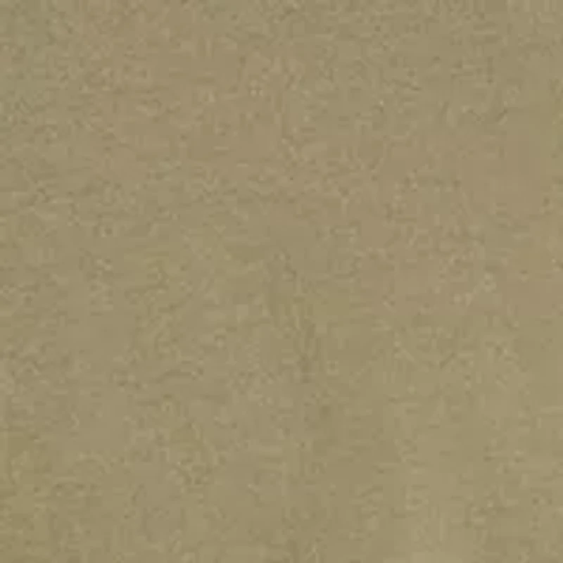 Big & Tall Photo Court Graphic T-Shirt