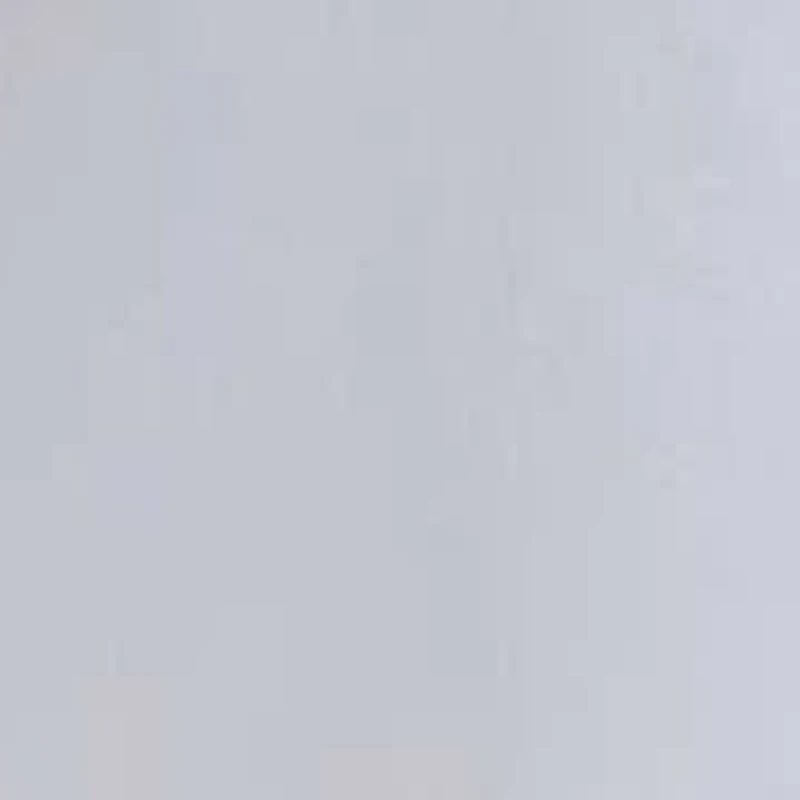 Men's Workout Essentials Base Woven Shorts