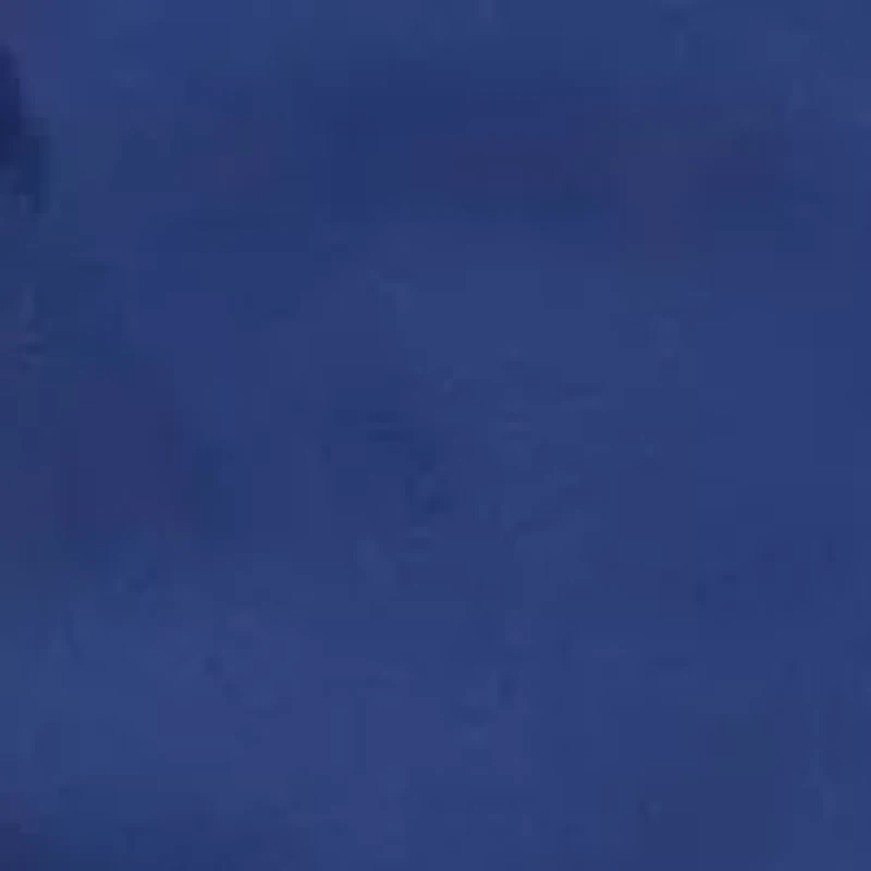 Workout Essentials Base Woven Shorts