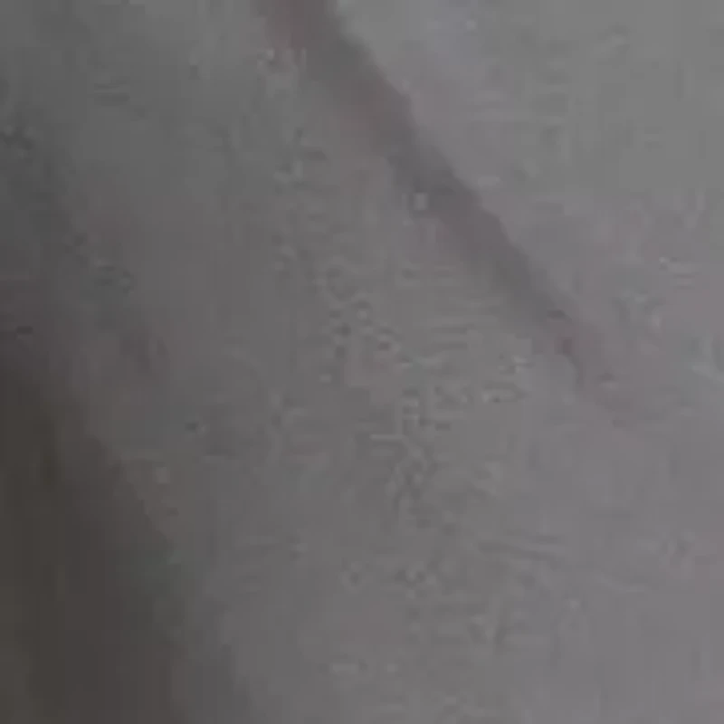 Men's Workout Essentials Base Woven Shorts