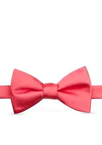 Falcon Satin Solid Bow Tie