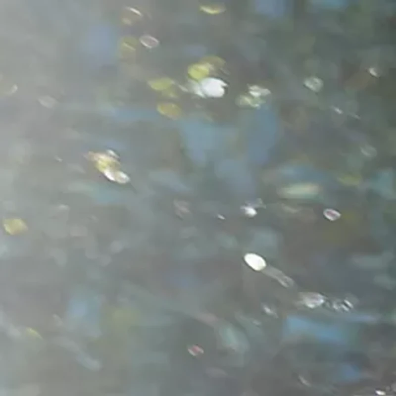 Slim Fit Premium Flex Waistband Flat Front Pants