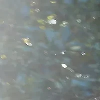 Slim Fit Premium Flex Waistband Flat Front Pants