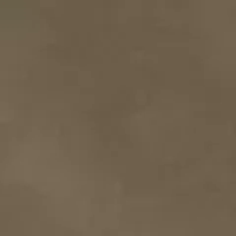 Big & Tall Premium No Iron Classic Fit Pleat Front Khaki Pants