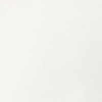 Haggar Cool 18 PRO Stretch Solid Flat Front Shorts