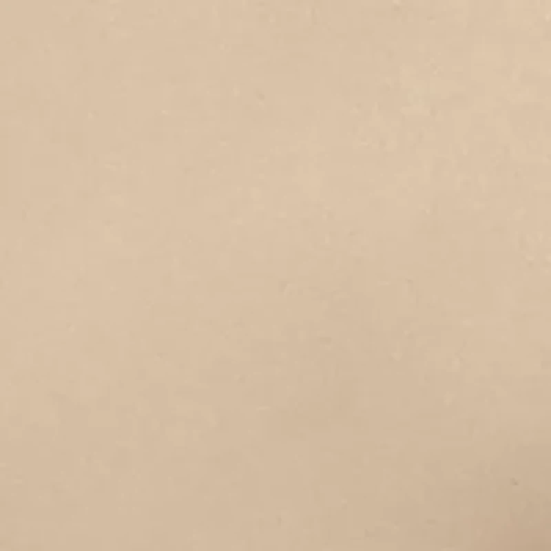 Haggar Cool 18 PRO Stretch Solid Flat Front Shorts