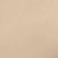 Haggar Cool 18 PRO Stretch Solid Flat Front Shorts