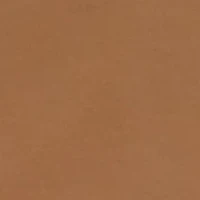 Free Trek Cargo Shorts