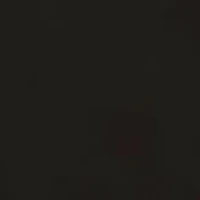 Big & Tall Classic Fit Flat Front Shorts