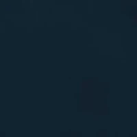 Big & Tall Classic Fit Flat Front Shorts