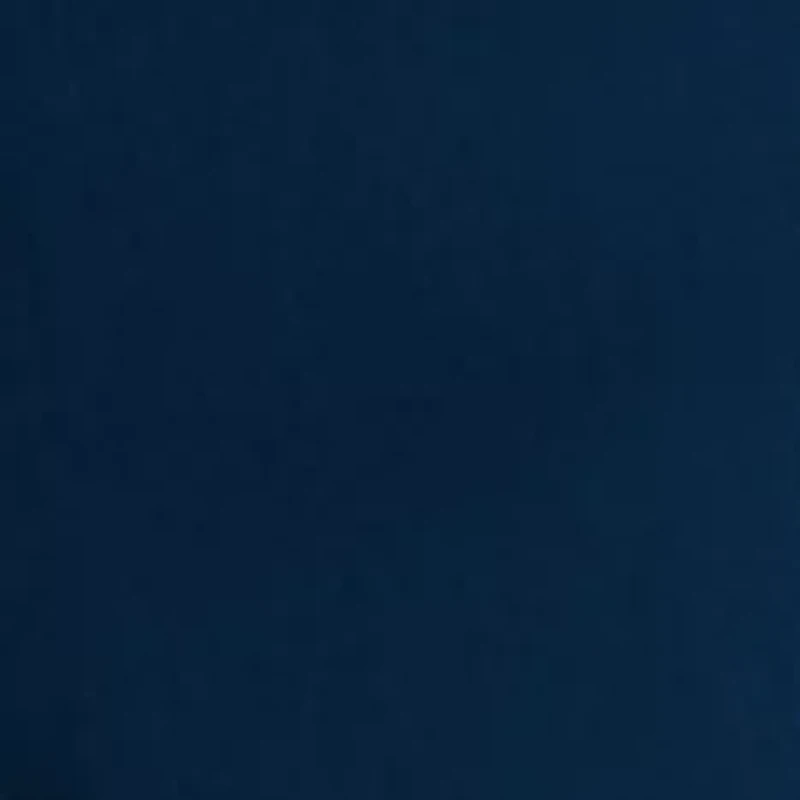 Regular Fit Poplin Work Shorts