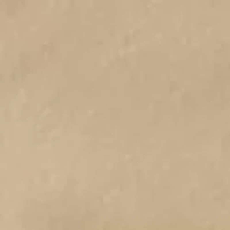 Carrier Cargo Shorts