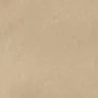 Carrier Cargo Shorts