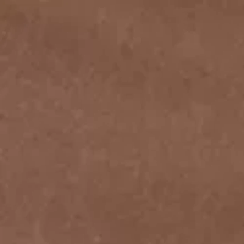 Carrier Cargo Shorts