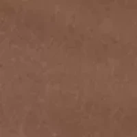 Carrier Cargo Shorts