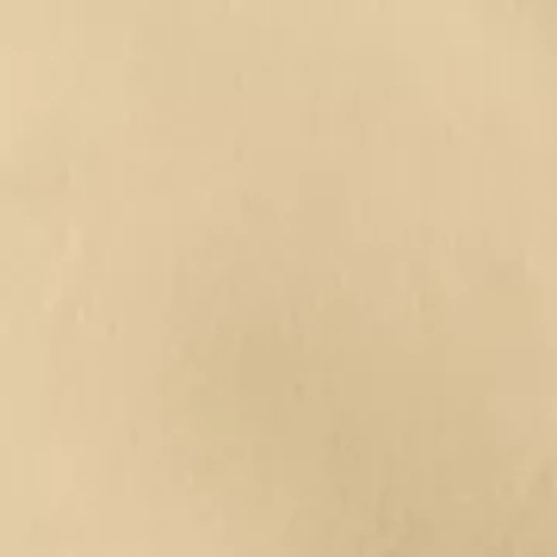 Big & Tall Carrier Cargo Shorts