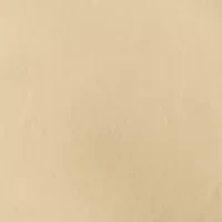 Big & Tall Carrier Cargo Shorts