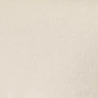 Men's Short Sleeve Eagle Graphic Ringer Shirt