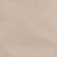 505™  Desert Taupe Pants